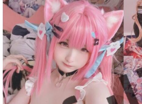 白虎福利姬@习呆呆 新作15套合集[314P+20V/1.21G]