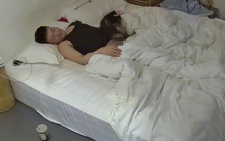 【酒店精品】高颜值双马尾萝莉被富哥骑身上调教成母狗了[65V28.4G]